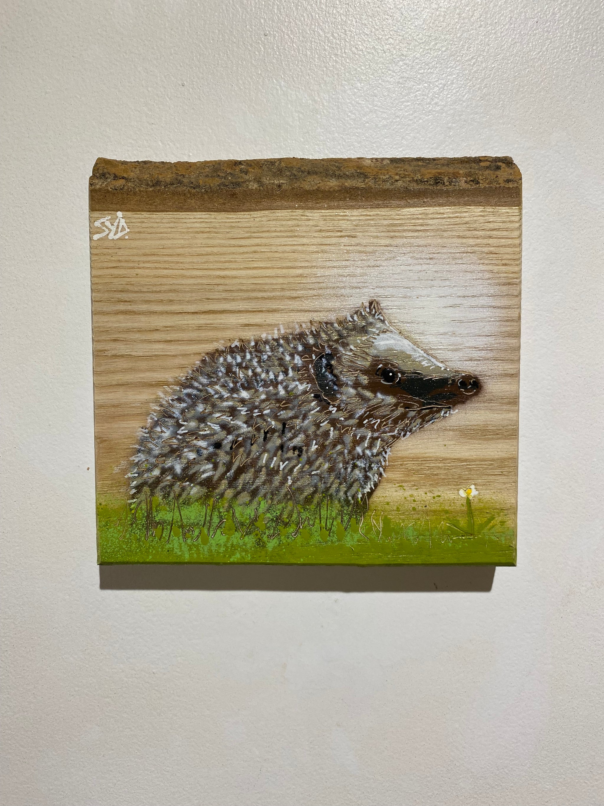 Hedgehog on barky Ash - New for 2024 - 18 x 17cm - number 60