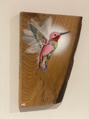 'Pink' Hummingbird on Elm wood - Signed limited edition artwork size 16 x 23cm
