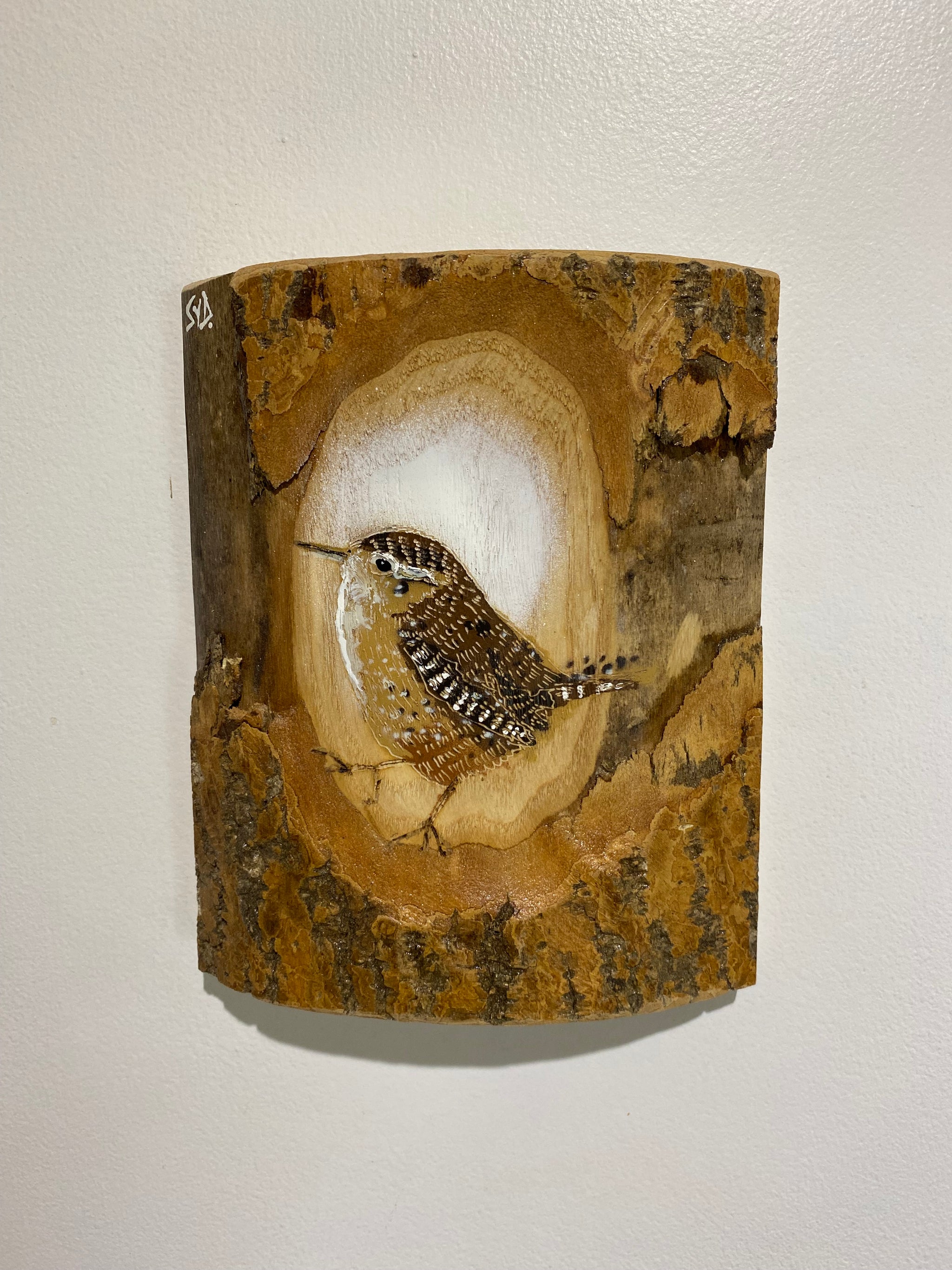 Log Art Wren on sustainably sourced Ash wood from local area - 17 x 19cm
