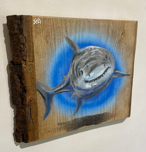 'Shark' stencil spray painted artwork on Ash wood - Signed, Limited edition piece - Handmade in Wiltshire - size 37 x 27cm