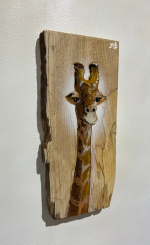 Giraffe ‘Peepo’ New artwork for 2024 on light Elm Wood size 13 x 29cm