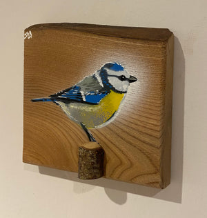 'Spring Time' Blue Tit on Elm wood - size 17 x 16cm - Signed limited edition artwork