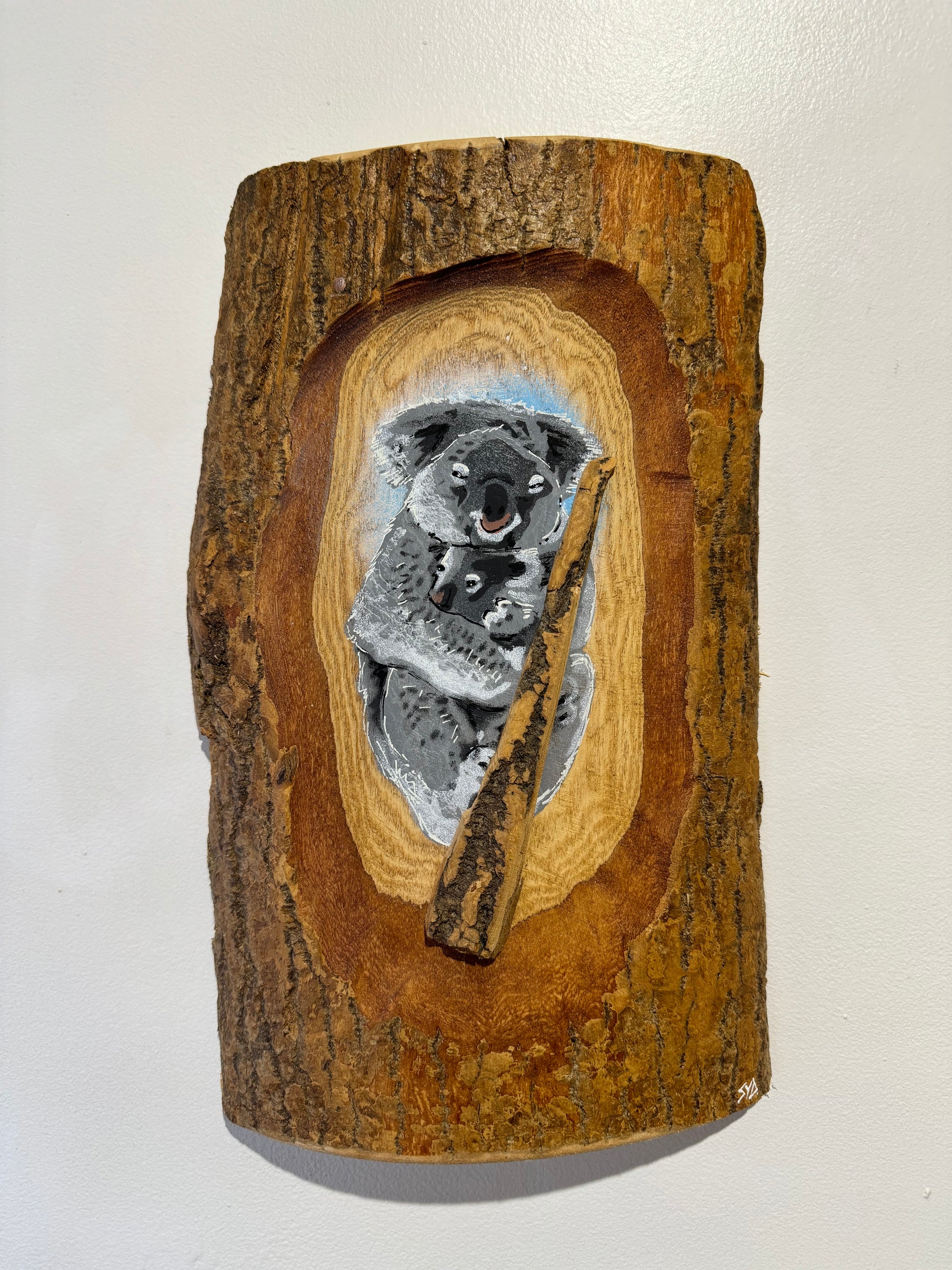 Koala ‘Cuddles’ 2025 - Number 11 in edition - 3D Stencil art on Ash Wood - Size 23 x 35cm