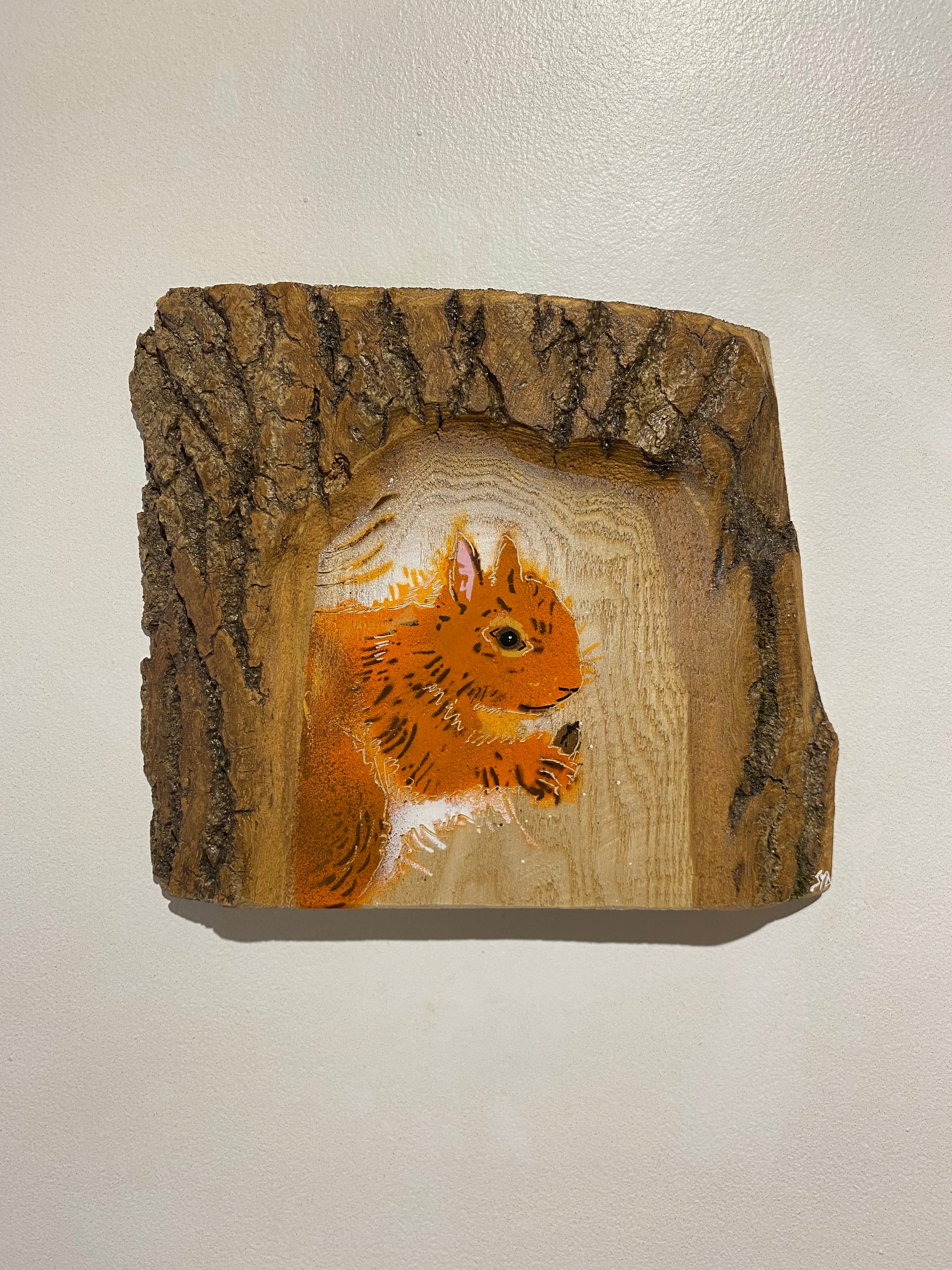 Log Art Squirrel on sustainably sourced Ash Wood from the UK - 22 x 19cm
