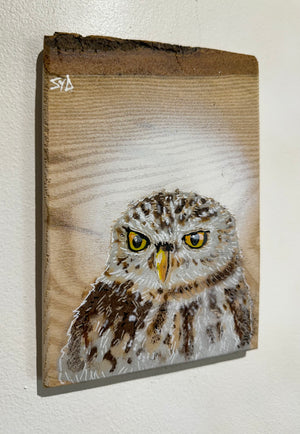 Little Owl - New for 2024 - Barky Ash Wood size 13 x 18cm
