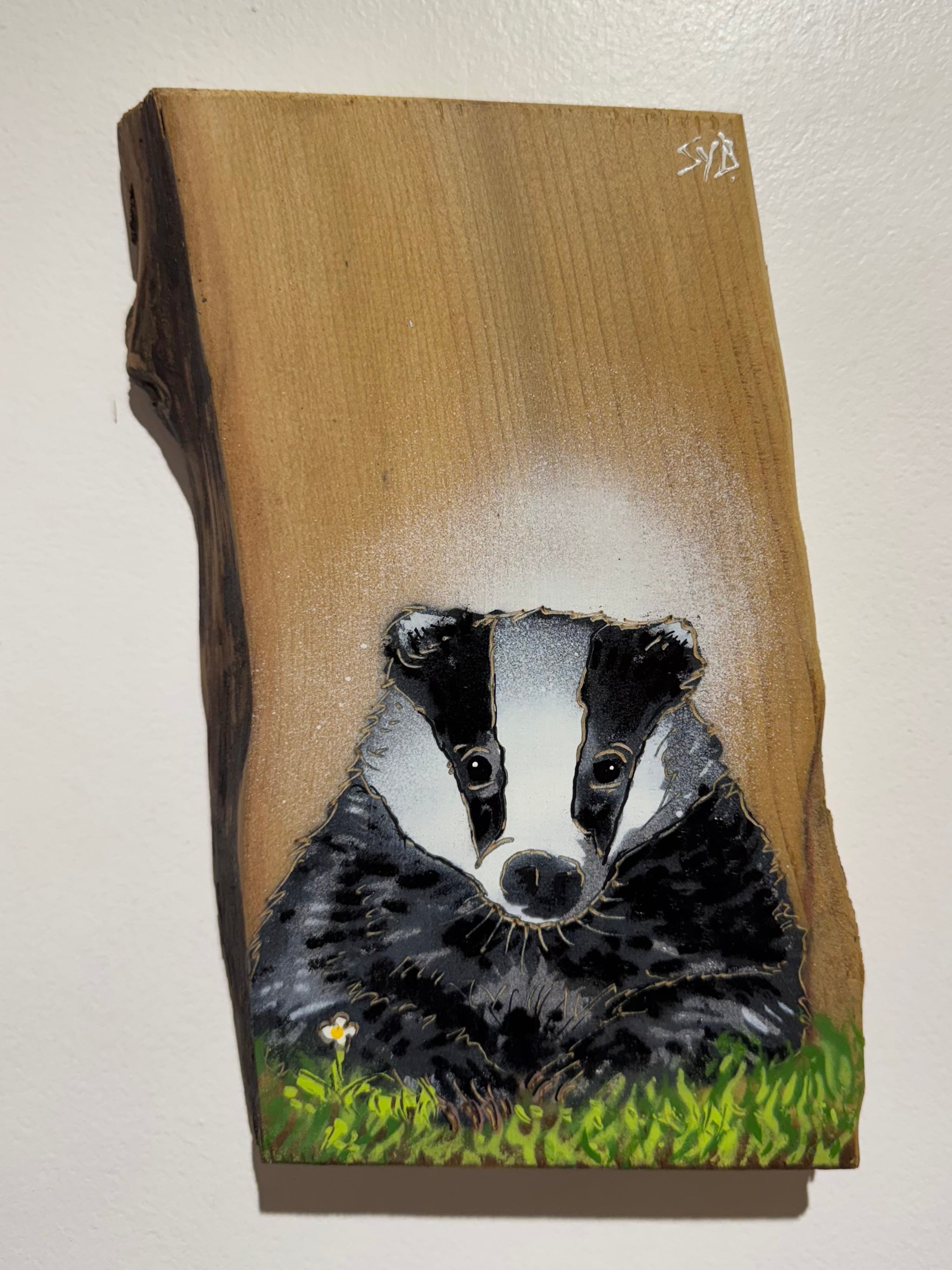 Mr Badger - New for Christmas 2025 - Number 1 on Cedar wood from the UK - 14 x 23cm