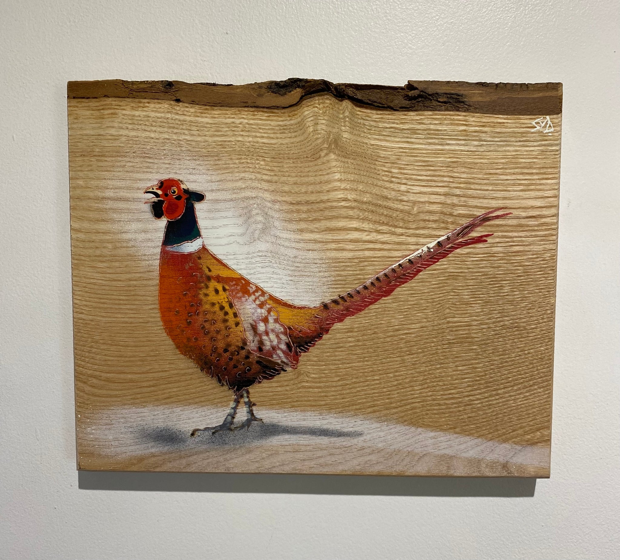 Pheasant New for Christmas 2025 - Number 2 on barky Ash wood from the UK - Signed Limited edition - 29 x 24cm