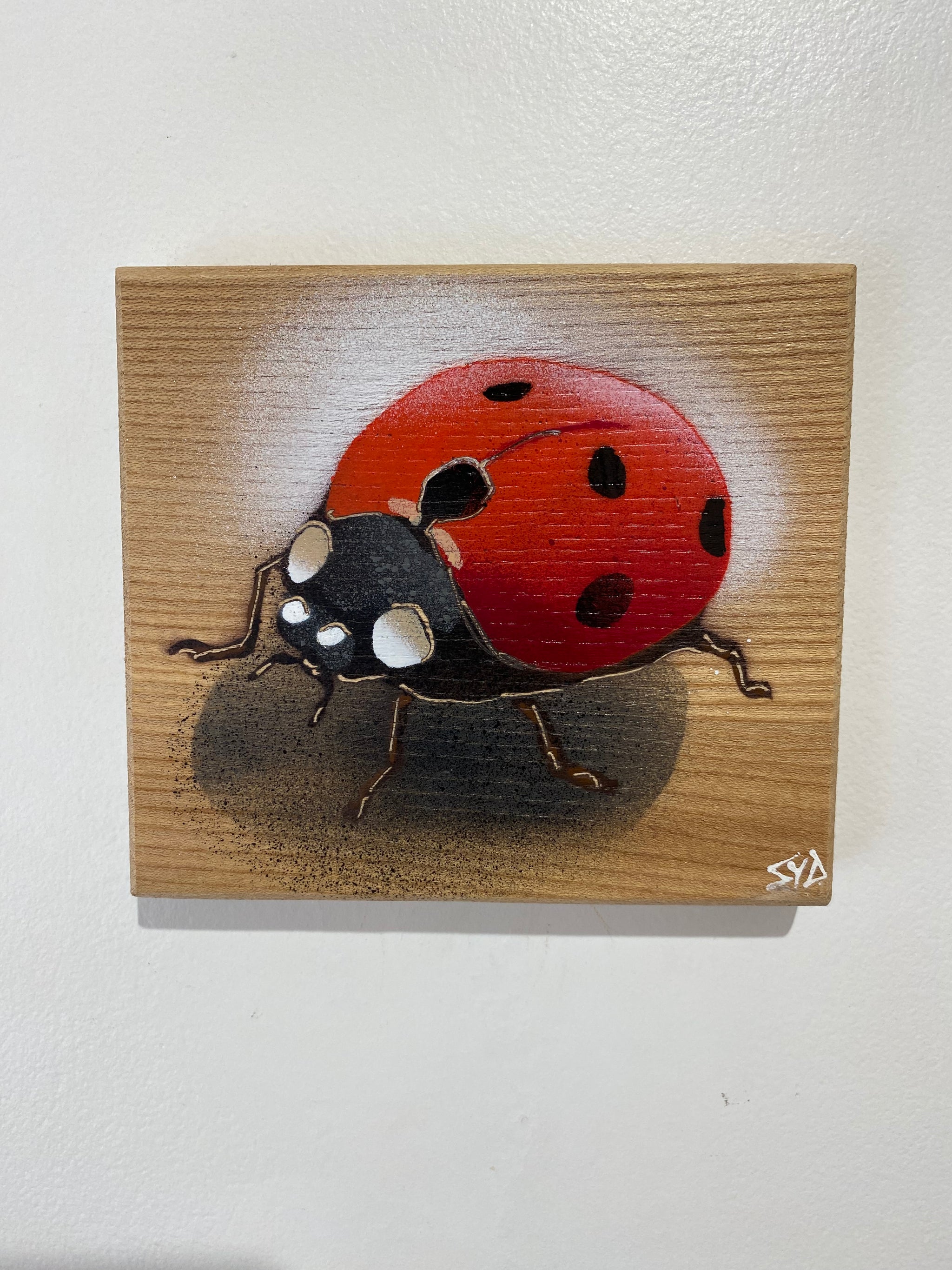 Ladybird ‘Speedy’ 2024 - No. 29 in edition on Elm wood from the UK size 14 x 13cm