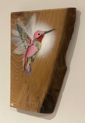 'Pink' Hummingbird on Elm wood - Signed limited edition artwork size 16 x 23cm