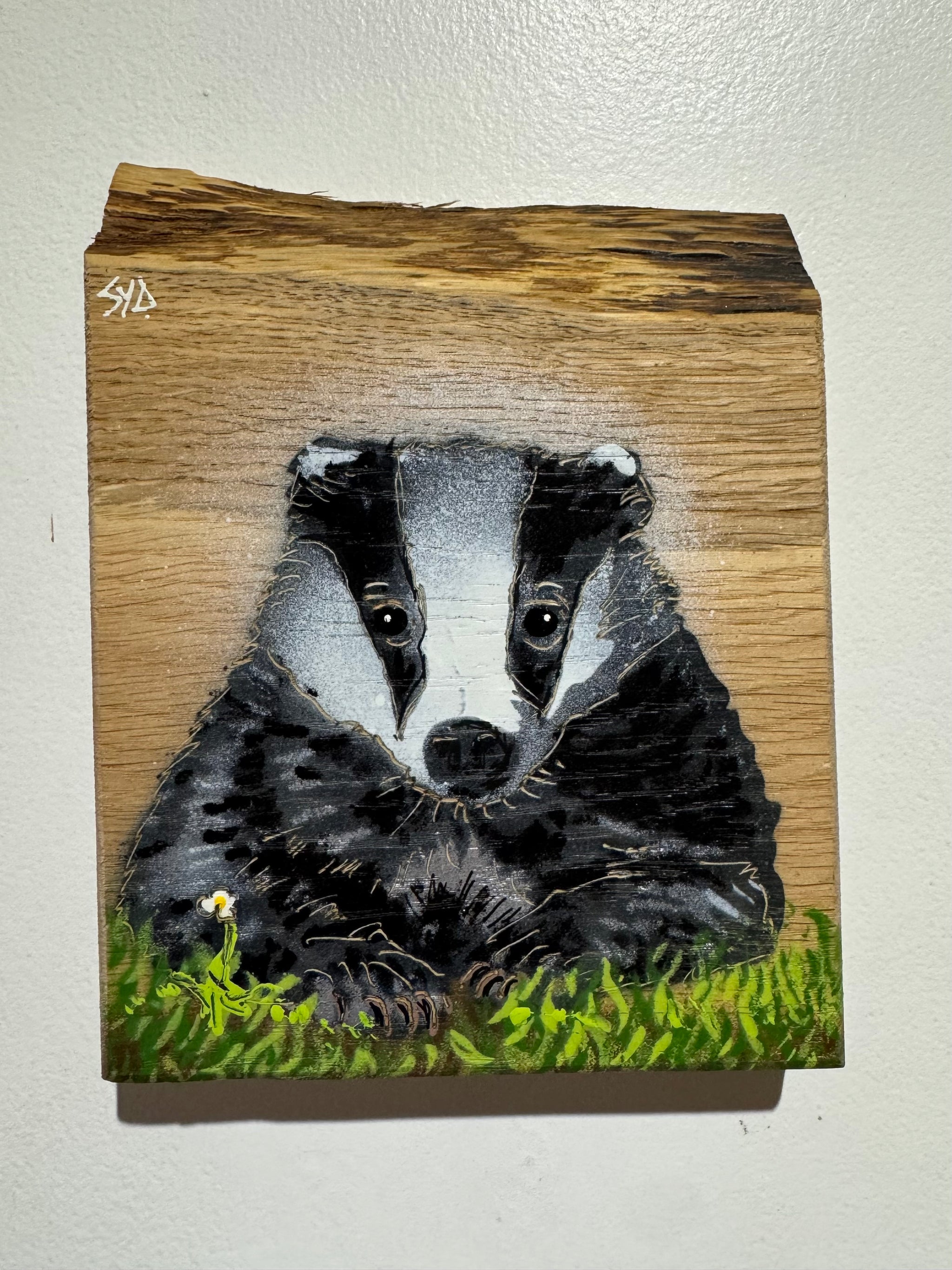 Mr Badger - New for Christmas 2025 - Number 4 on Oak wood from the UK - 14 x 17cm