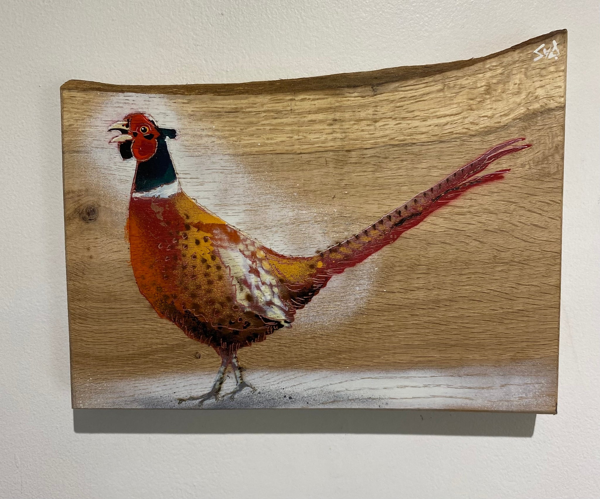 Pheasant New for Christmas 2025 - Number 4 on Oak wood from the UK - Signed Limited edition - 26 x 21cm