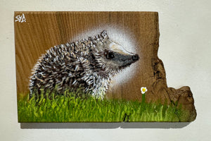 Hedgehog on Elm - Number 1 - New for 2024 - 25 x 15 cm