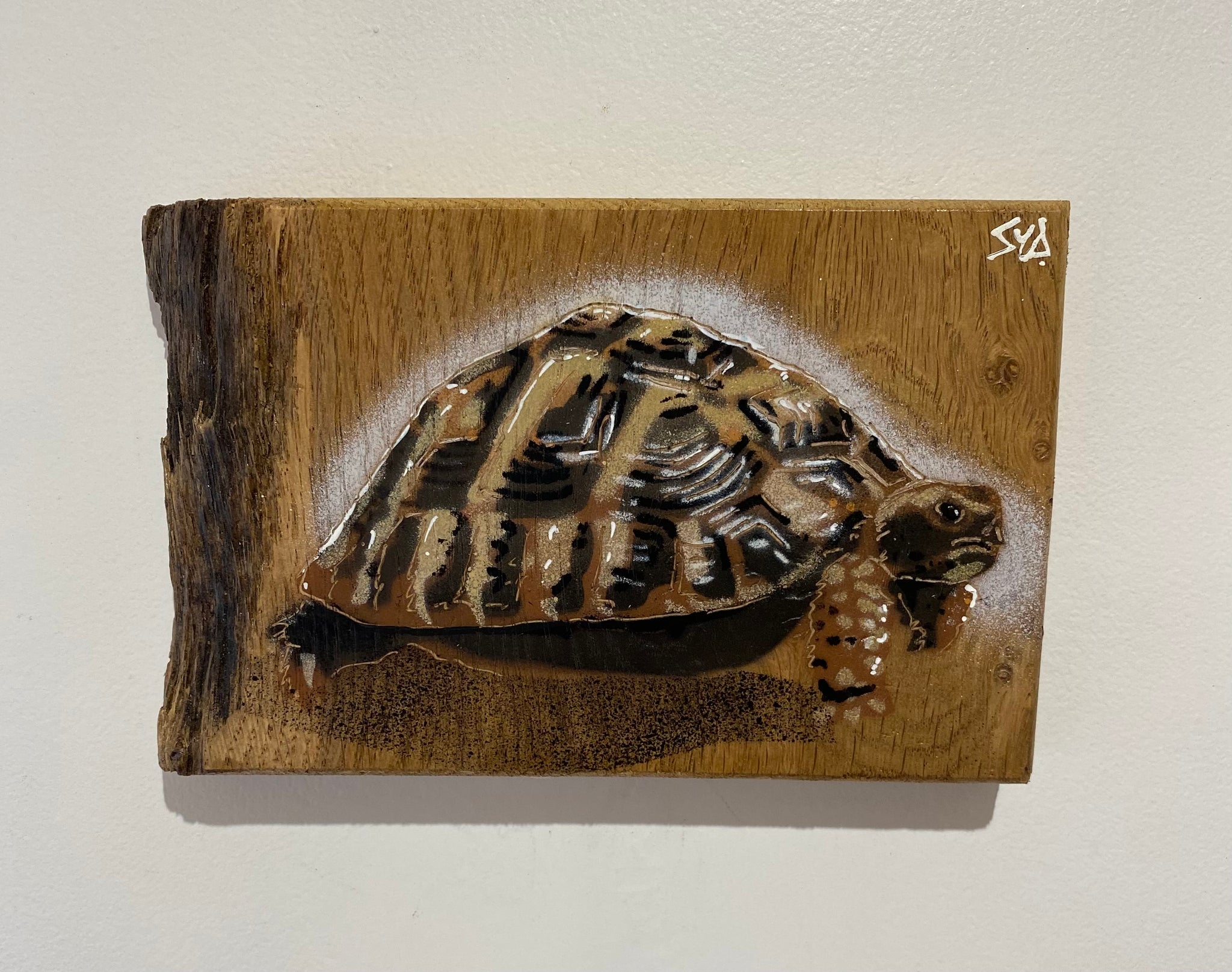 Tortoise 'Shelby' No.28 on Oak wood - Artwork size size 20 x 12cm