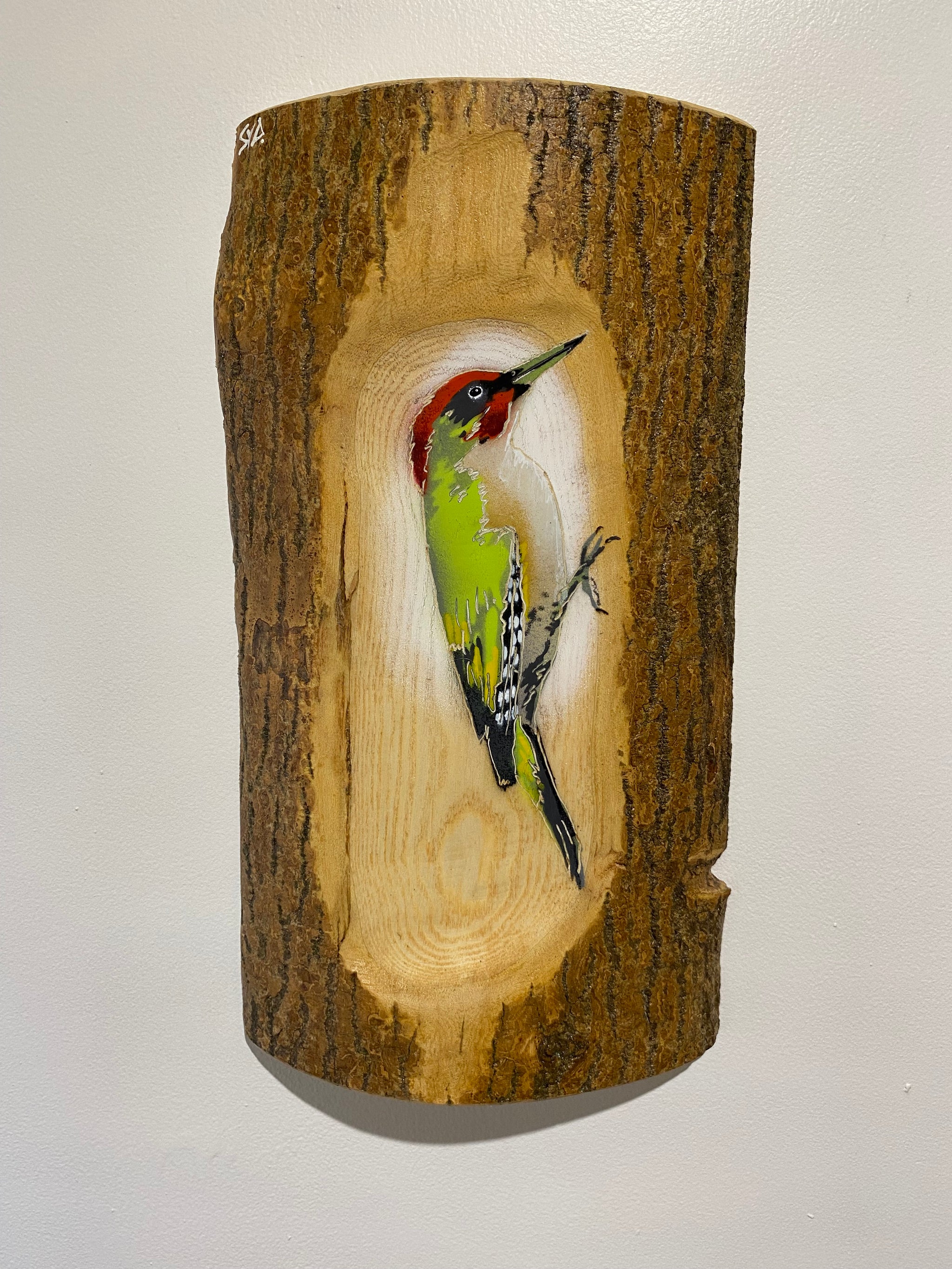 Woodpecker ‘Green’ - New for 2025 on barky log Ash wood from signed limited edition - 21 x 36cm