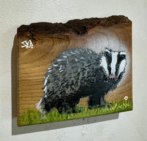 Badger 'Care Bear' -  New for 2024  No. 1 on Elm wood from the UK - 14 x 12cm