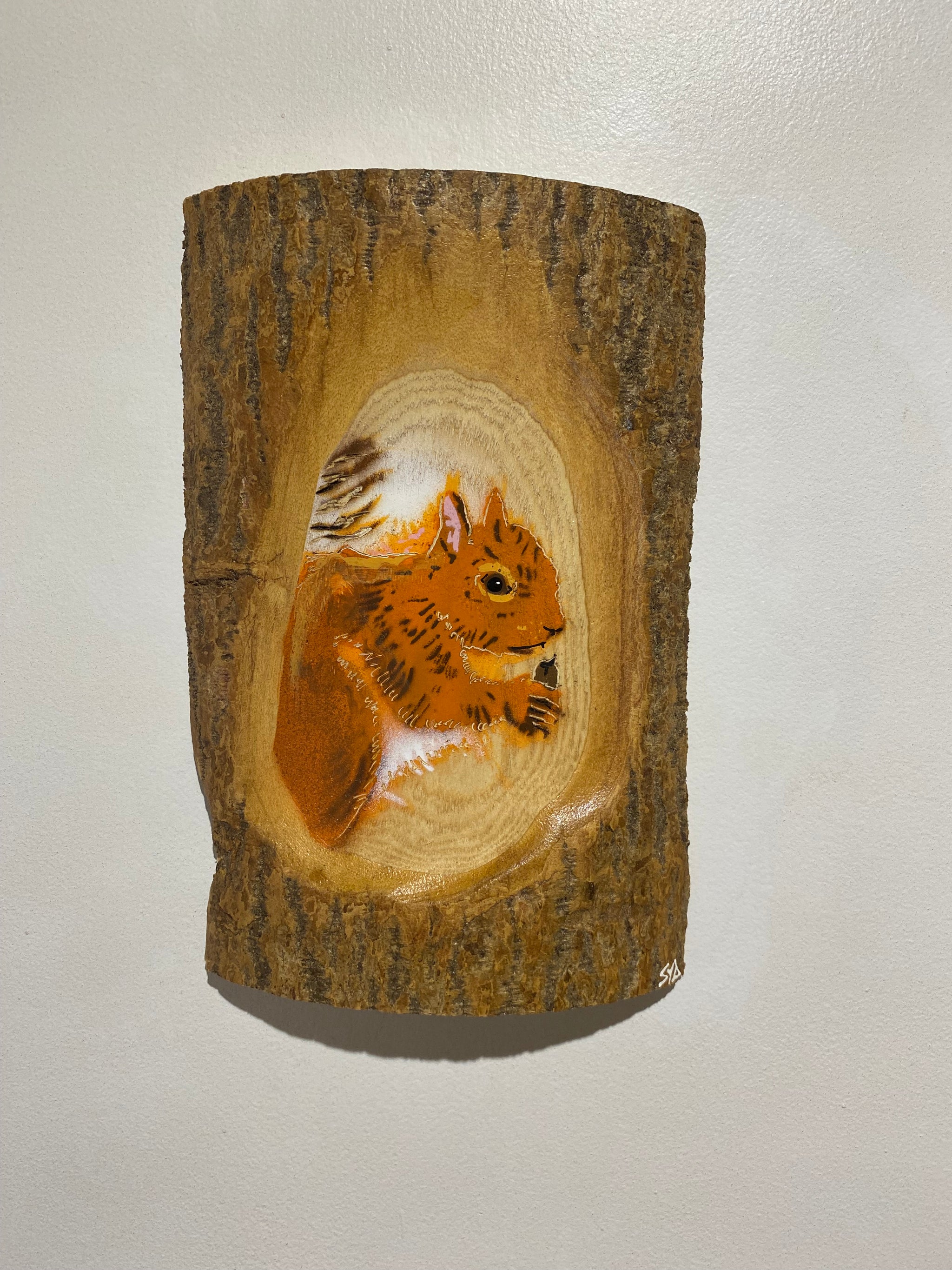 Log Art Squirrel on sustainably sourced Ash Wood from the UK - 28 x 26cm