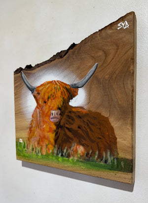 Highland Cow Number 1 - Elm - Signed Limited Edition Artwork - size 21 x20 cm