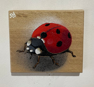 Ladybird ‘Speedy’ 2024 - On Oak wood from the UK - 14 x 13cm