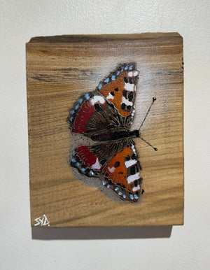 Butterfly 2024 Stencil Art on Elm Number 2 in edition - 14 x 18cm
