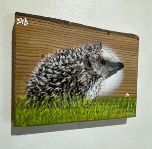 Hedgehog on Elm - Number 4 - New for 2024 - 19 x 16 cm