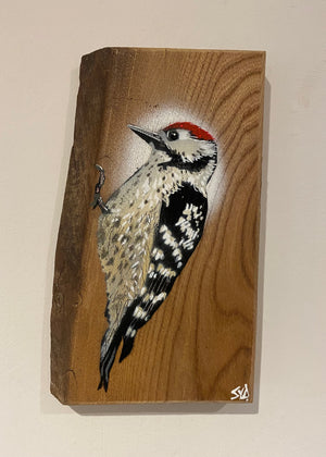 Woodpecker ‘Woody ’ 2023 on rare Elm wood, sustainably sourced from the UK.