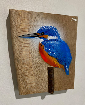 'Kingfisher 2023' on Elm wood - New Limited Edition Signed artwork size 14 x 16cm - No. 4