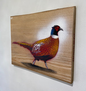 Pheasant 2023 - New on Elm wood - Signed Limited edition - 32 x 25cm