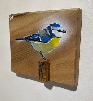 Spring Time - Blue Tit on Elm - 17 x 15cm - Signed limited edition artwork - Mothers Day gift