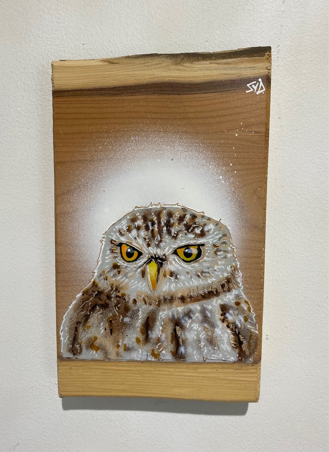 Little Owl - New for 2024 - Rare Yew Wood size 13 x 21cm