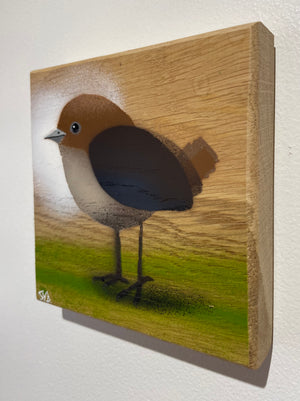 Cheep Bird - New for 2022 on Oak wood from the UK - size is approximately 11 x 11cm