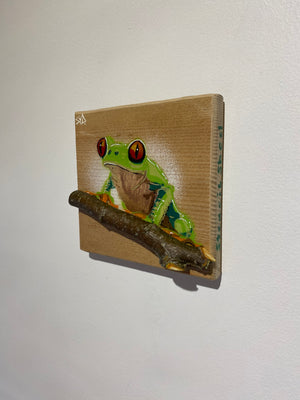 Tree Frog Brand New Artwork from 2025 on Oak - Number 11 - 14 x 14cm