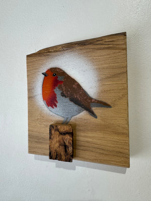 Robin 2025 on rare Elm with beautiful grain and 3D perch - 13 x 15cm