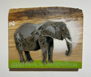 Elephant Trunky - Number 2 in edition oak wood - 16 x 14cm