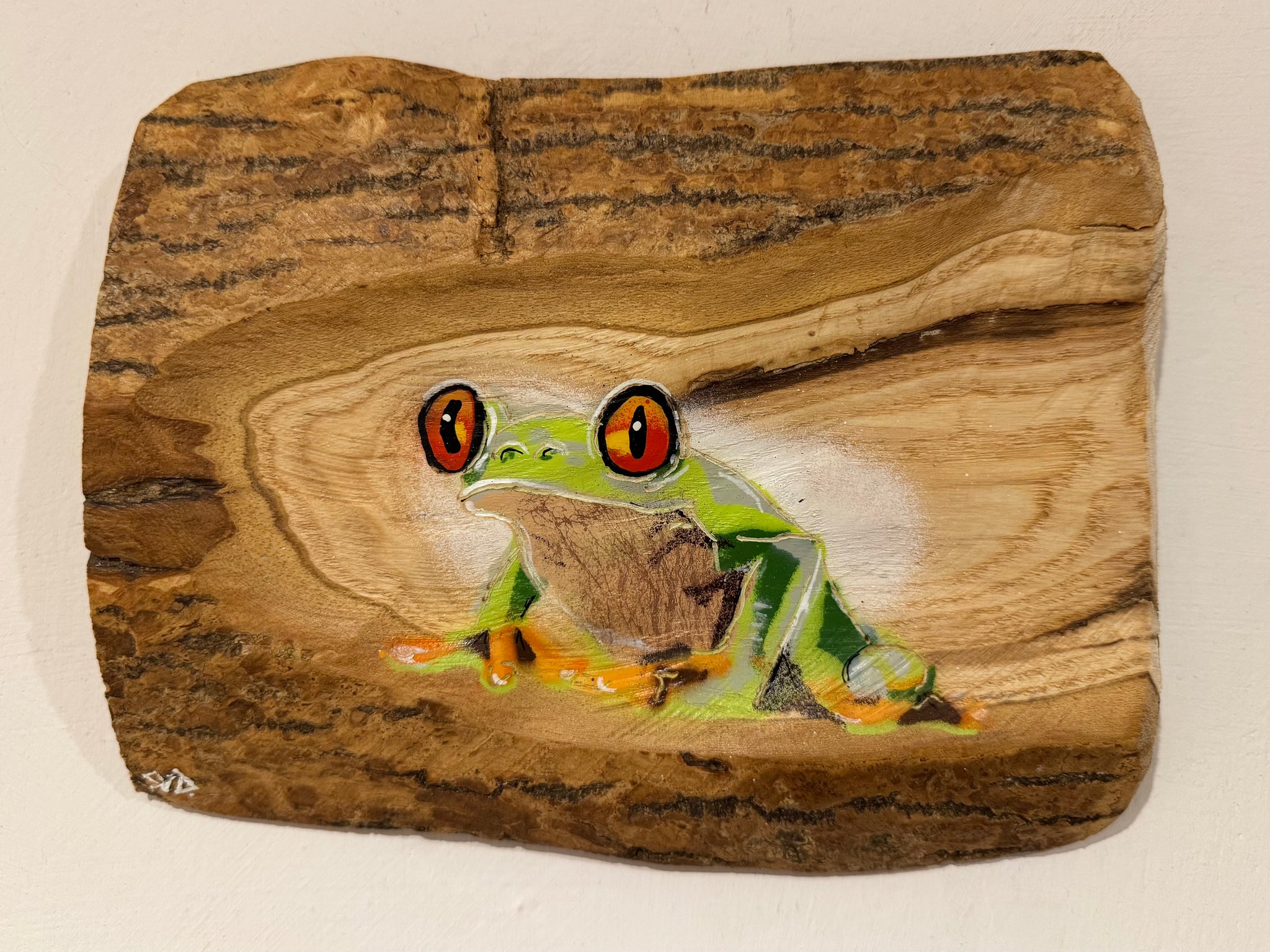 Tree Frog Brand New Artwork fro 2025 on Barky Ash log - Number 5 - 22 x 17 cm - Frog in a log!!