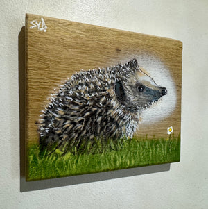Hedgehog on Oak  - New for 2024 - 19 x 16 cm