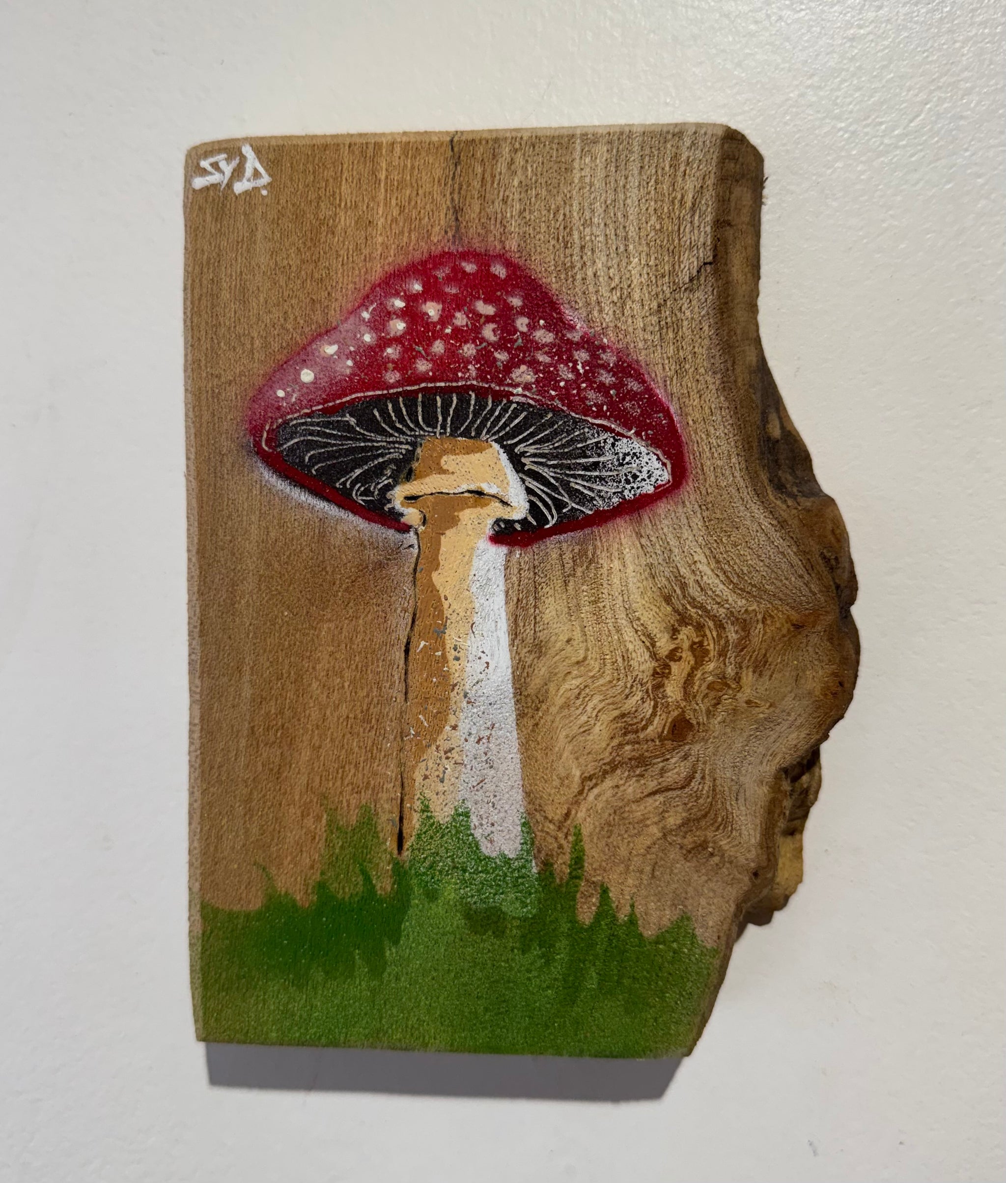 Mushroom on Elm Wood - with added texture - 12 x 16cm