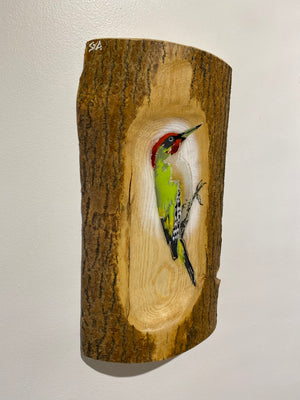 Woodpecker ‘Green’ - New for 2025 on barky log Ash wood from signed limited edition - 21 x 36cm