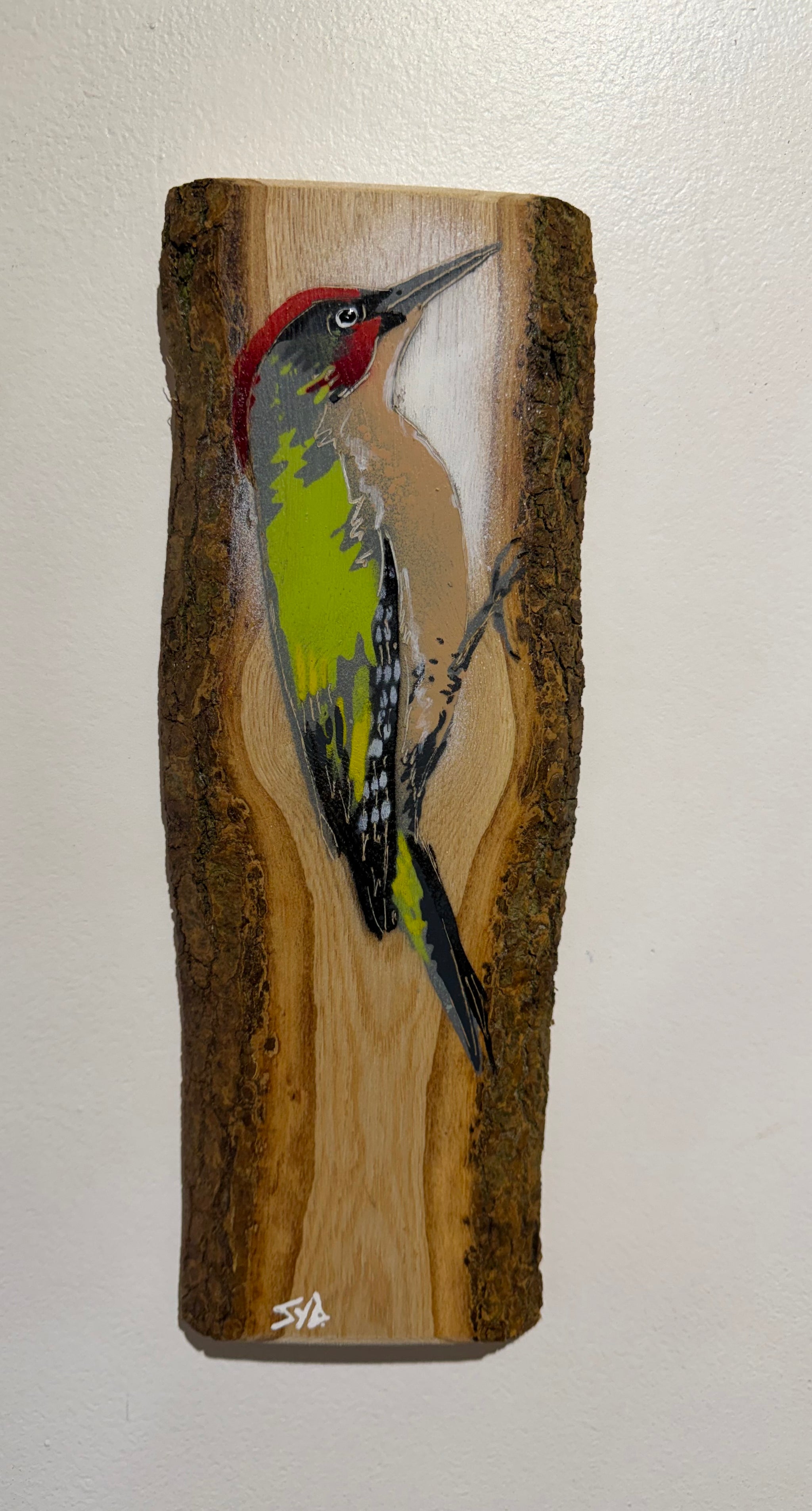 Woodpecker ‘Green’ 2025 on barky Ash wood from signed limited edition - 11 x 28cm