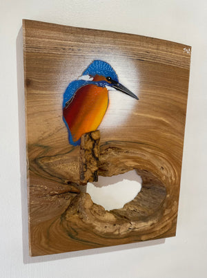 Kingfisher ‘Fisherman’ on fantastic piece of Elm wood - Signed unique artwork size 26 x 35cm - Number 50 in edition