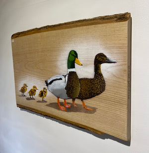 Family Quackers on Ash wood - 50 x 36cm - Signed Limited edition artwork