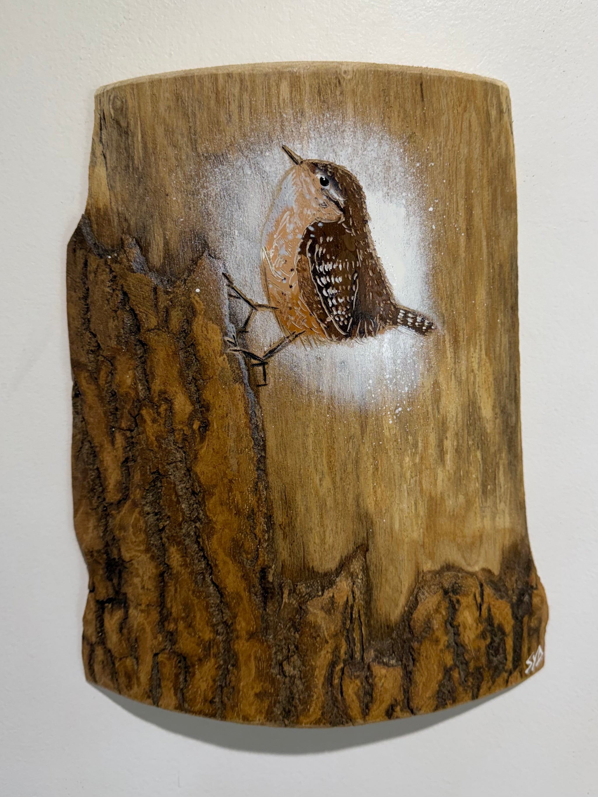 Log Art Wren on sustainably sourced Ash wood from Syd's local area - 21 x 26cm - Very unique artwork