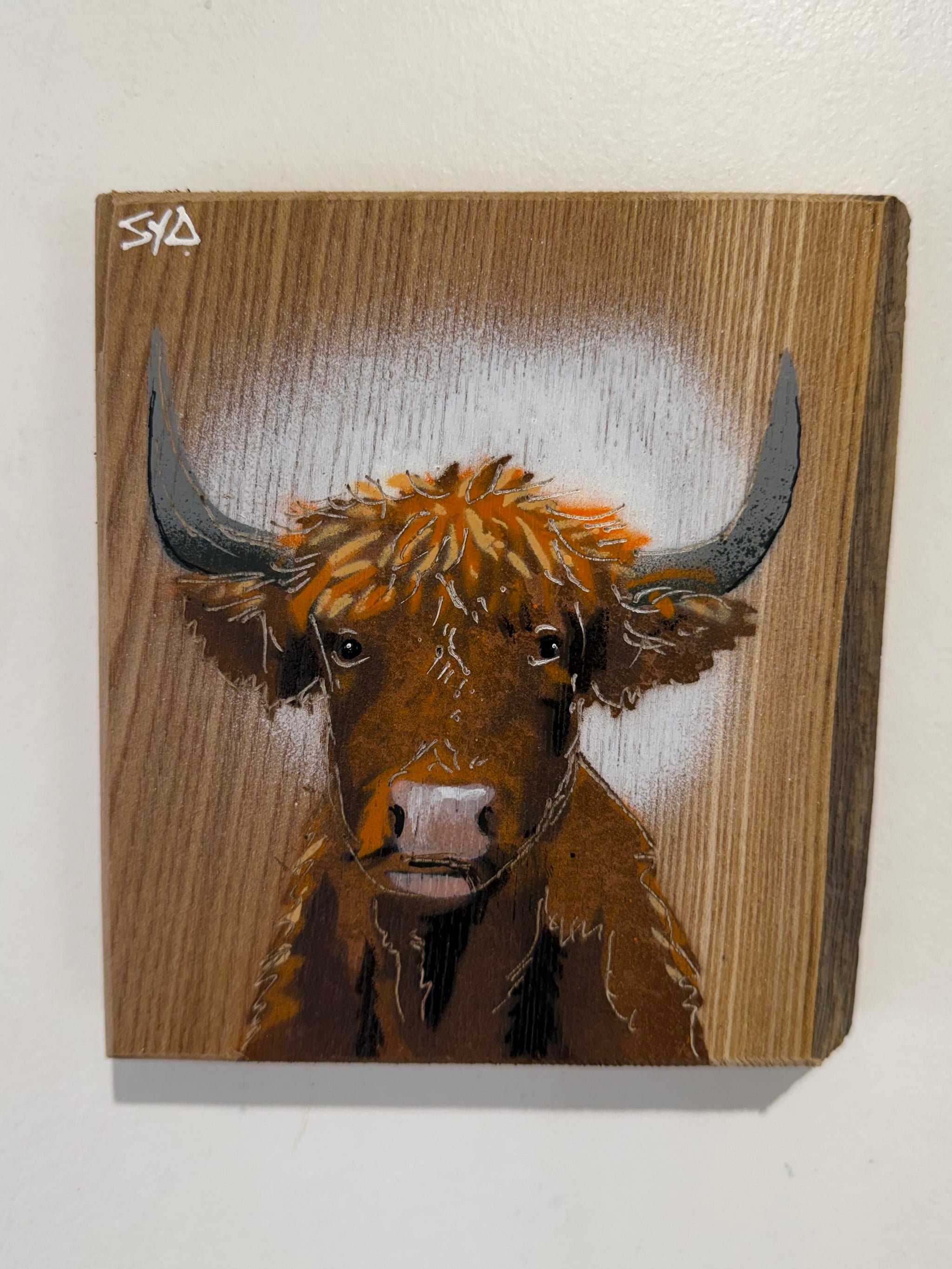 Highland Cow 2026 Elm Wood - Signed Limited Edition Artwork - size 14 x 15cm - Number 27