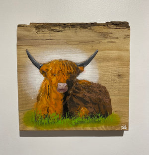 Highland Cow on Elm - Signed Limited Edition Artwork - size 23 x 23cm - Number 54