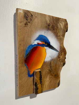 Kingfisher ‘Fisherman’ on fantastic piece of Elm wood - Signed unique artwork size 20 x 25cm - Number 50 in edition