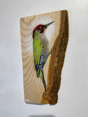 Woodpecker ‘Green’ - New for 2025 on barky Ash wood from signed limited edition - 14 x 26cm