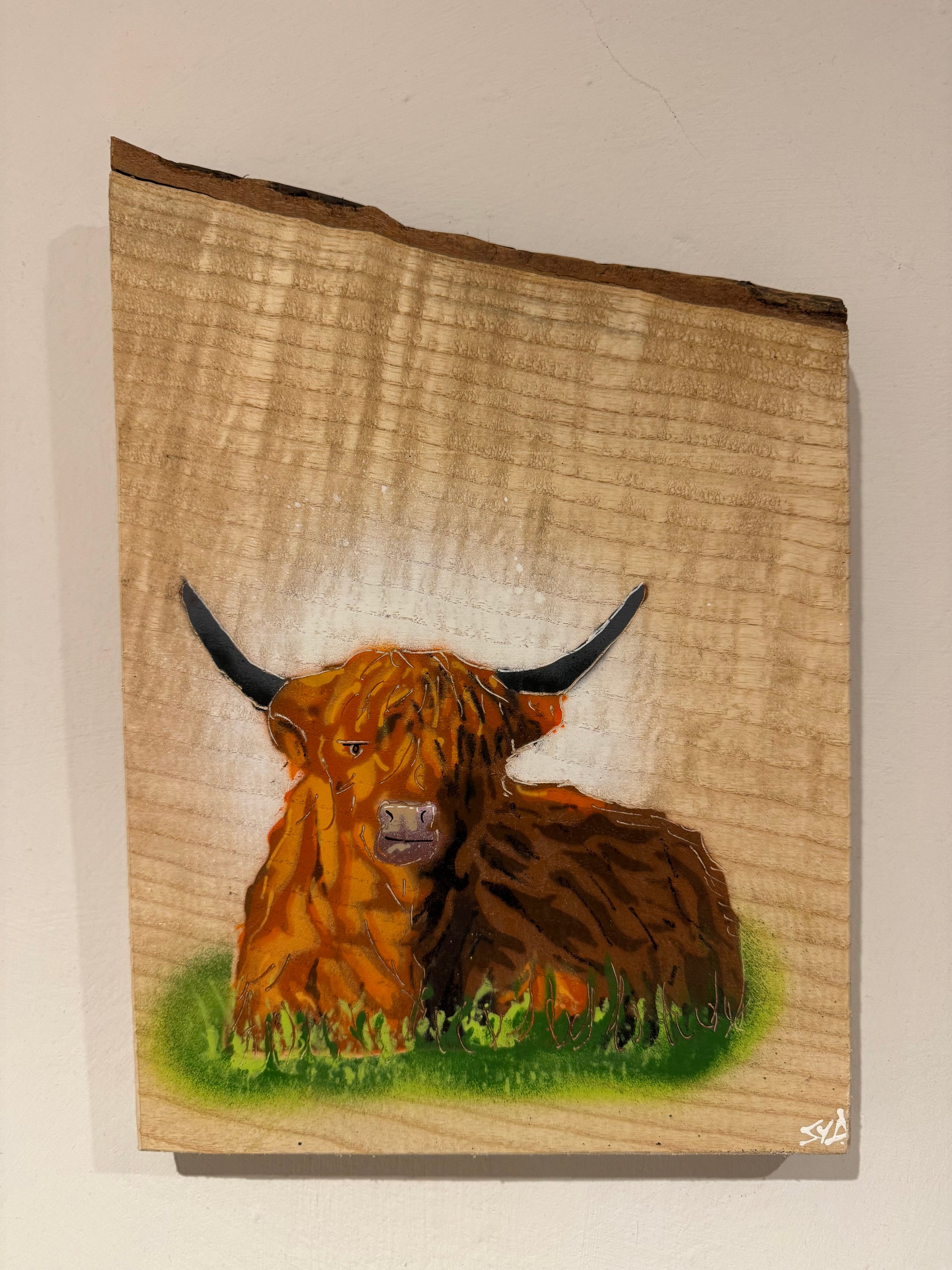 Highland Cow on Elm - Signed Limited Edition Artwork - size 22 x 31cm - Number 80