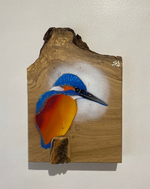 Kingfisher ‘Fisherman’ on fantastic piece of Oak wood - Signed unique artwork size 16 x 23cm - Number 50 in edition