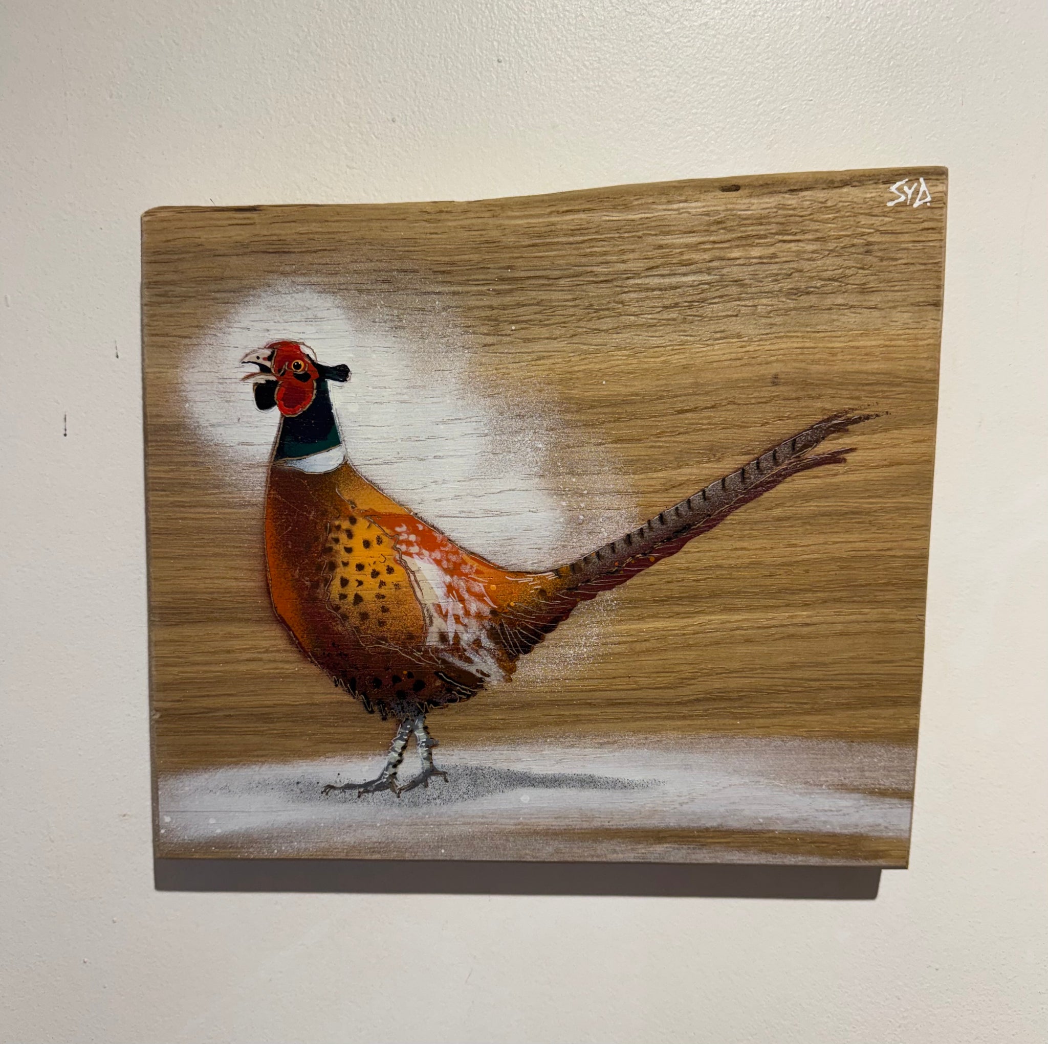 Pheasant on Oak wood from the UK - Signed Limited edition - 26 x 23cm