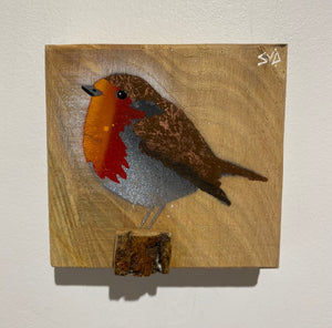 Robin 2025 on rare Elm with beautiful red grain and 3D perch - 11 x 11cm - New for Mother's Day