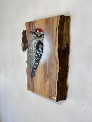 Woodpecker ‘Woody ’ 2023 on Yew wood, sustainably sourced from Wiltshire - signed limited edition
